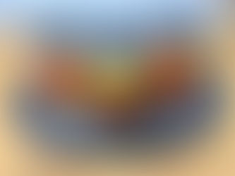 עגבניות תמר מיובשות (לחות)בניחוח תימין במכונת יבוש ביתית מאוכסנות עם שמן זית ושום טבעי טבעוני ללא גל