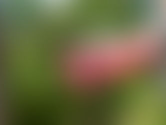 The Three Aspects Of Love