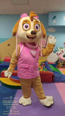 Skye Paw Patrol Fairytale Character