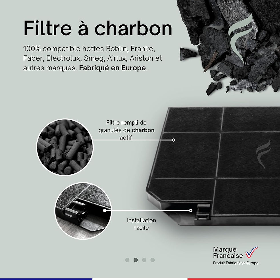 Miniatura: Point Filtre- - Filtro a carbone attivo - Cappa da cucina - Roblin 5403008 - 265