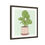 Thumbnail: Framed Matte Canvas – Gabriella, Pink and Green Potted Plant