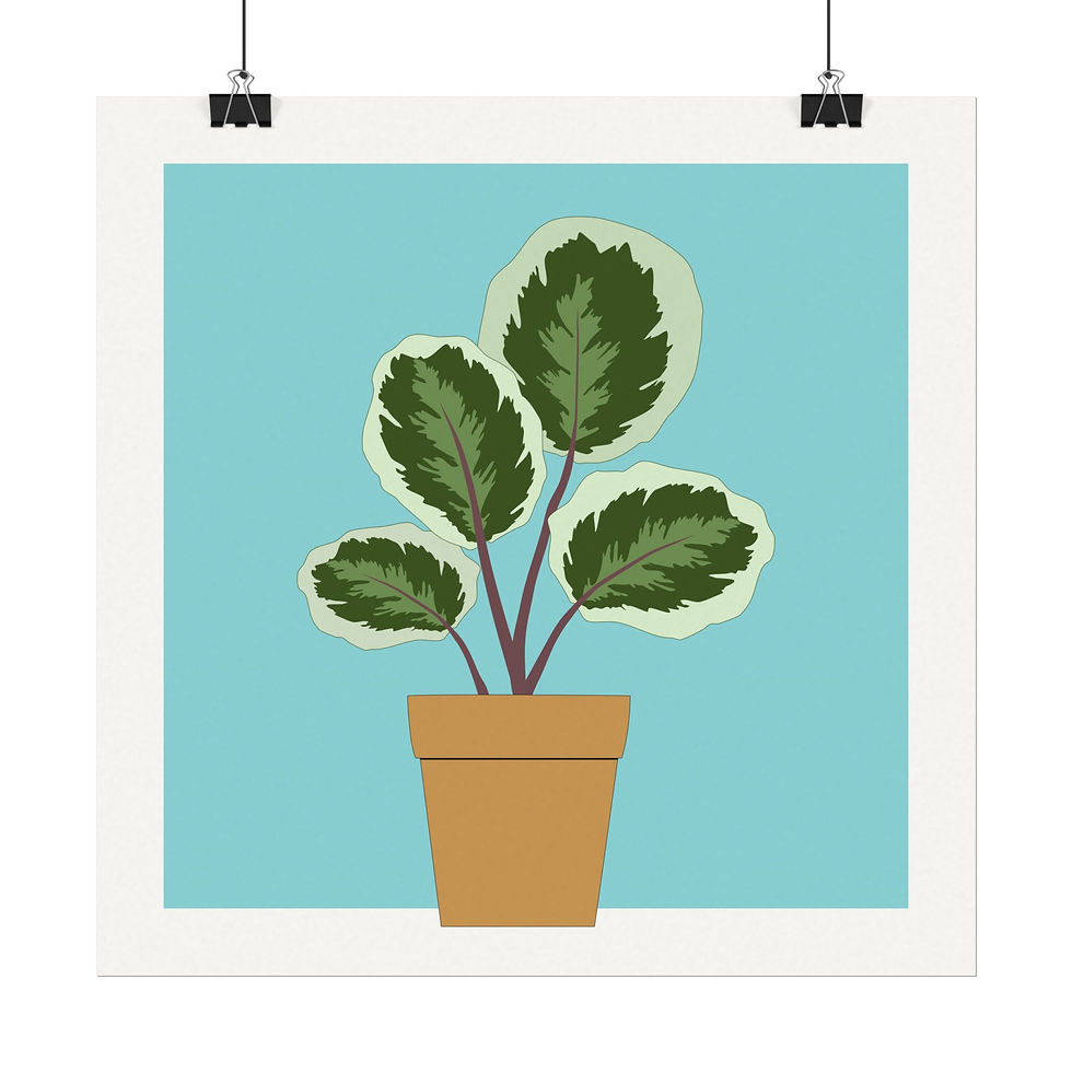 Thumbnail: Jumbo Leaf Calathea - Art Print, on Bold Blue