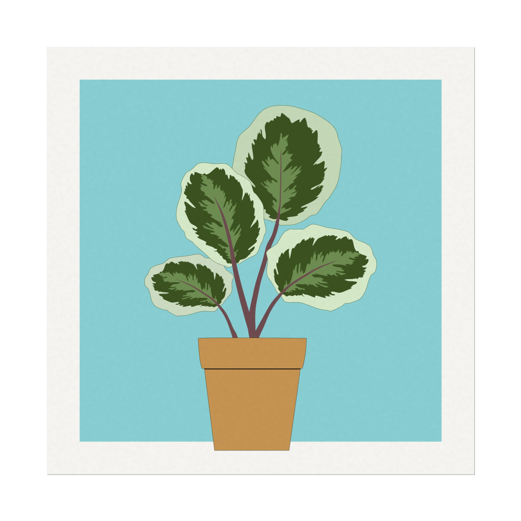 Jumbo Leaf Calathea - Art Print, on Bold Blue