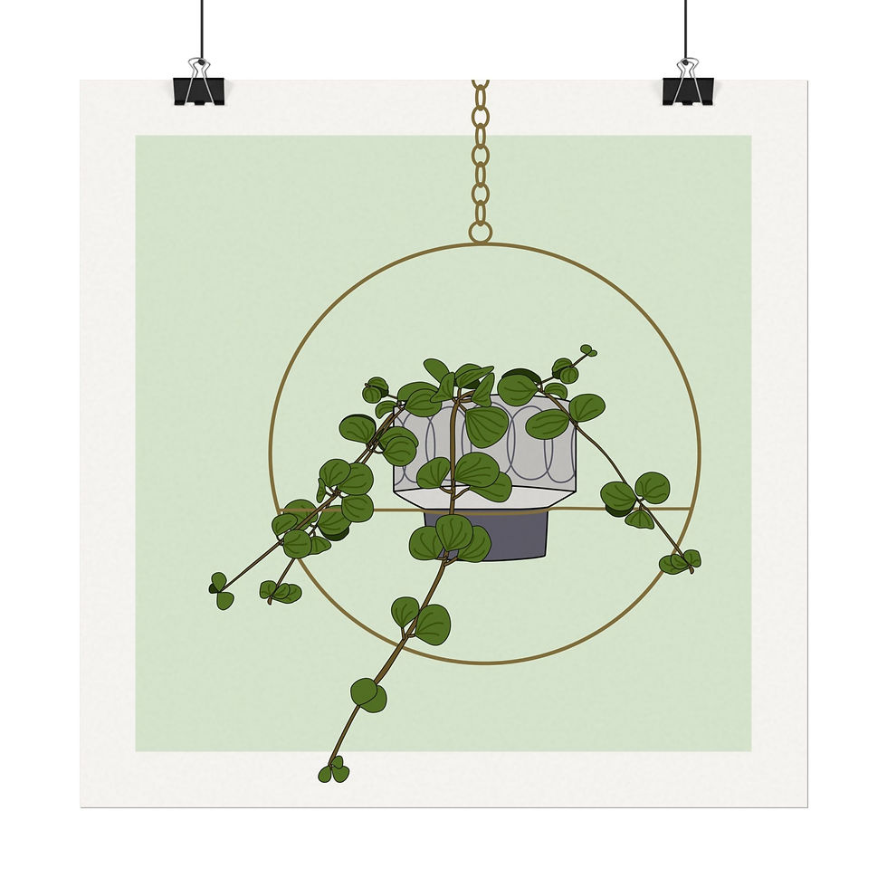 Thumbnail: Peperomia Hope - Art Print