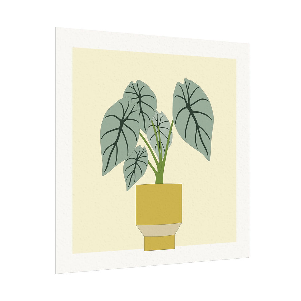 Thumbnail: Alocasia Blanco - Art Print