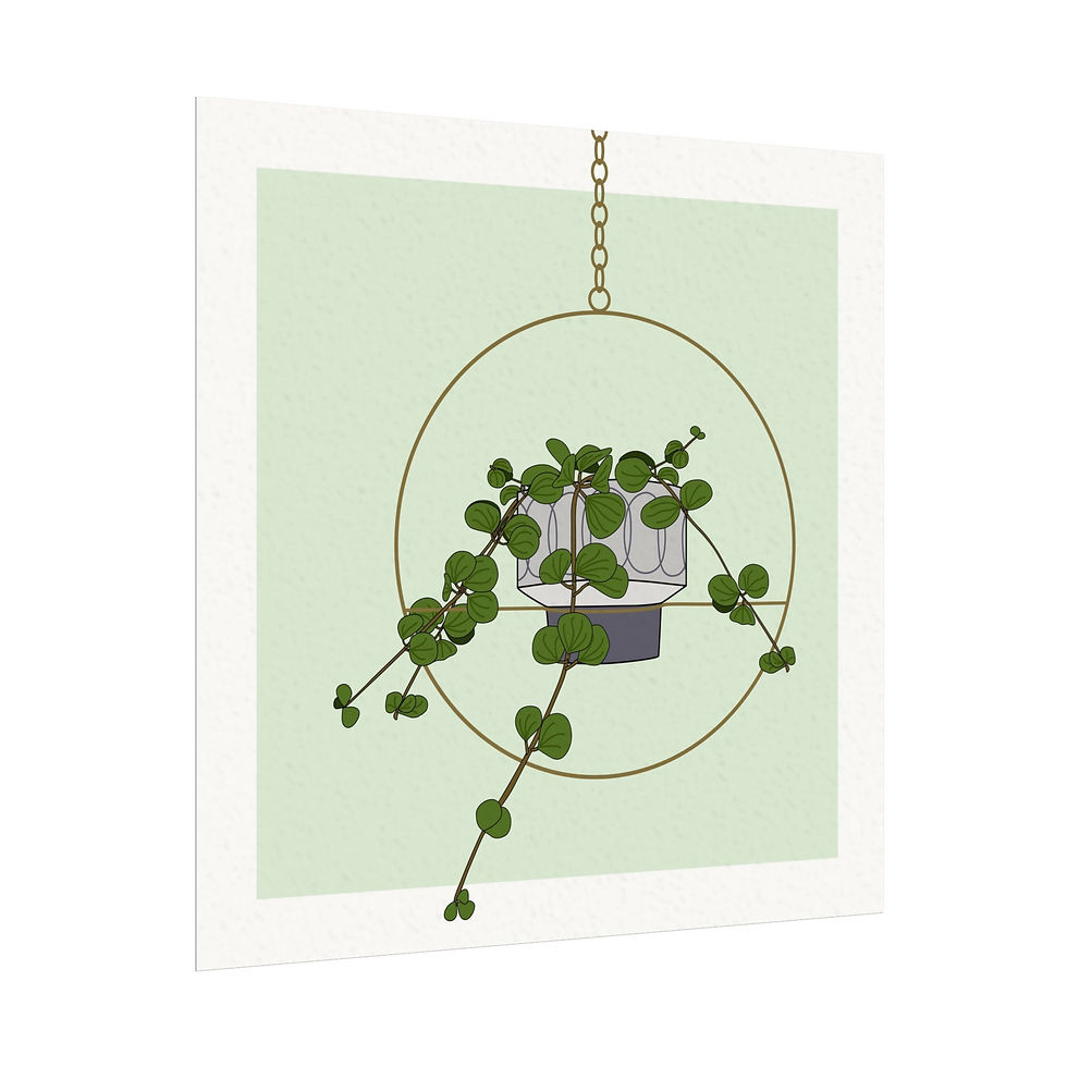 Thumbnail: Peperomia Hope - Art Print