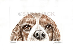 'Walkies' Drypoint print