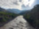 D9C26256-3A62-4463-B708-8664AB01F2A3.JPG