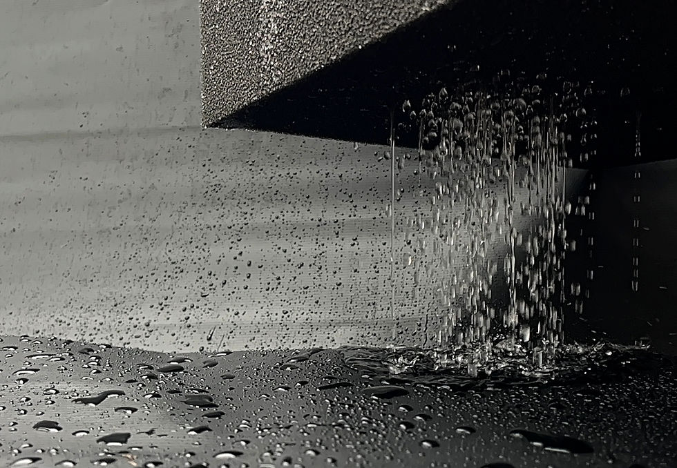 CELairdryfoam-05.jpg
