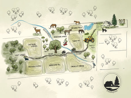 A Name-First Basis to Knowing Puddlepond