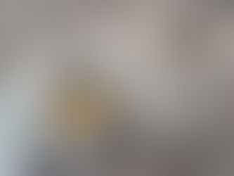 DIY Toilet Paper Dampner