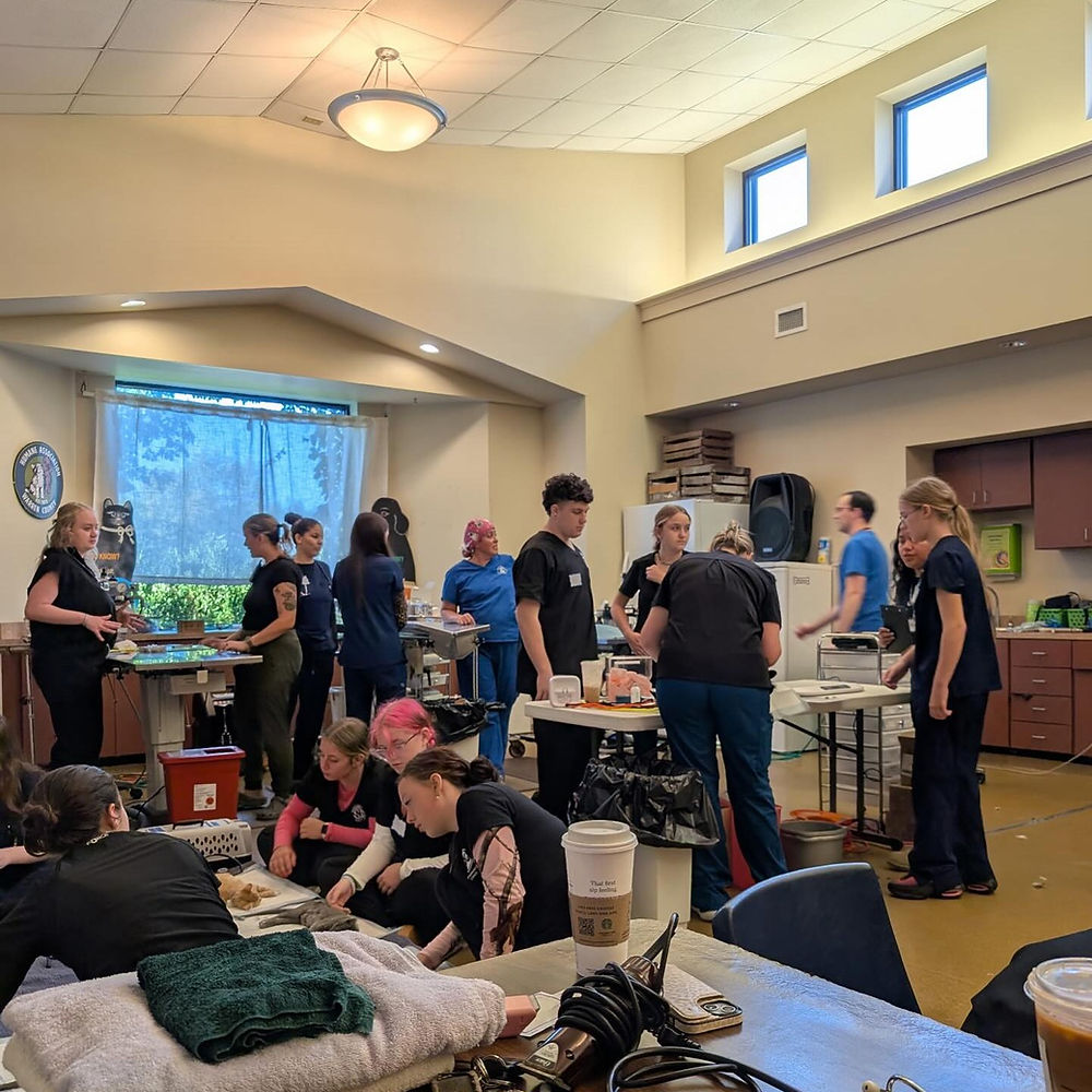 Students assiting and learning about spay and neutering at HAWC