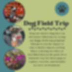 Poster of past field trip event for shelter dogs, to have experience new environments. reoccurring event, check facebook for more up to date info!