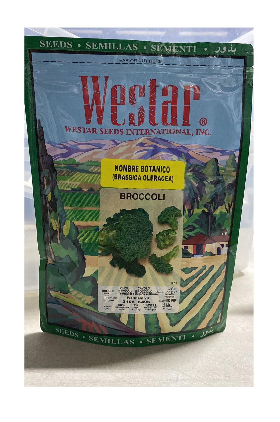 Brocoli Waltham Sobre 1 Libra