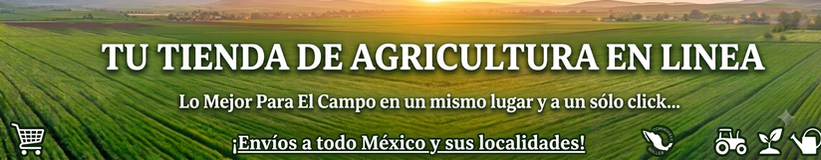 Banner 2026.png