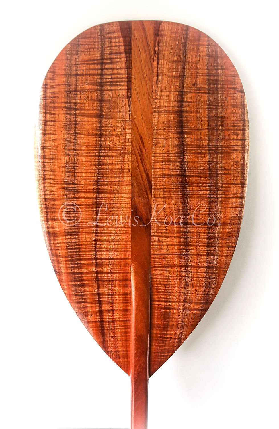 Premium Curly Koa Paddle (CKP551)