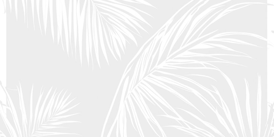 black background with palm leaf silhouette_edited_edited.jpg