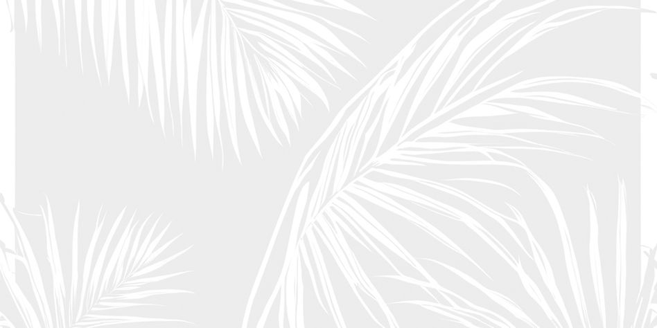 black background with palm leaf silhouette_edited_edited.jpg