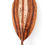 Thumbnail: Koa Paddle (CKP300)