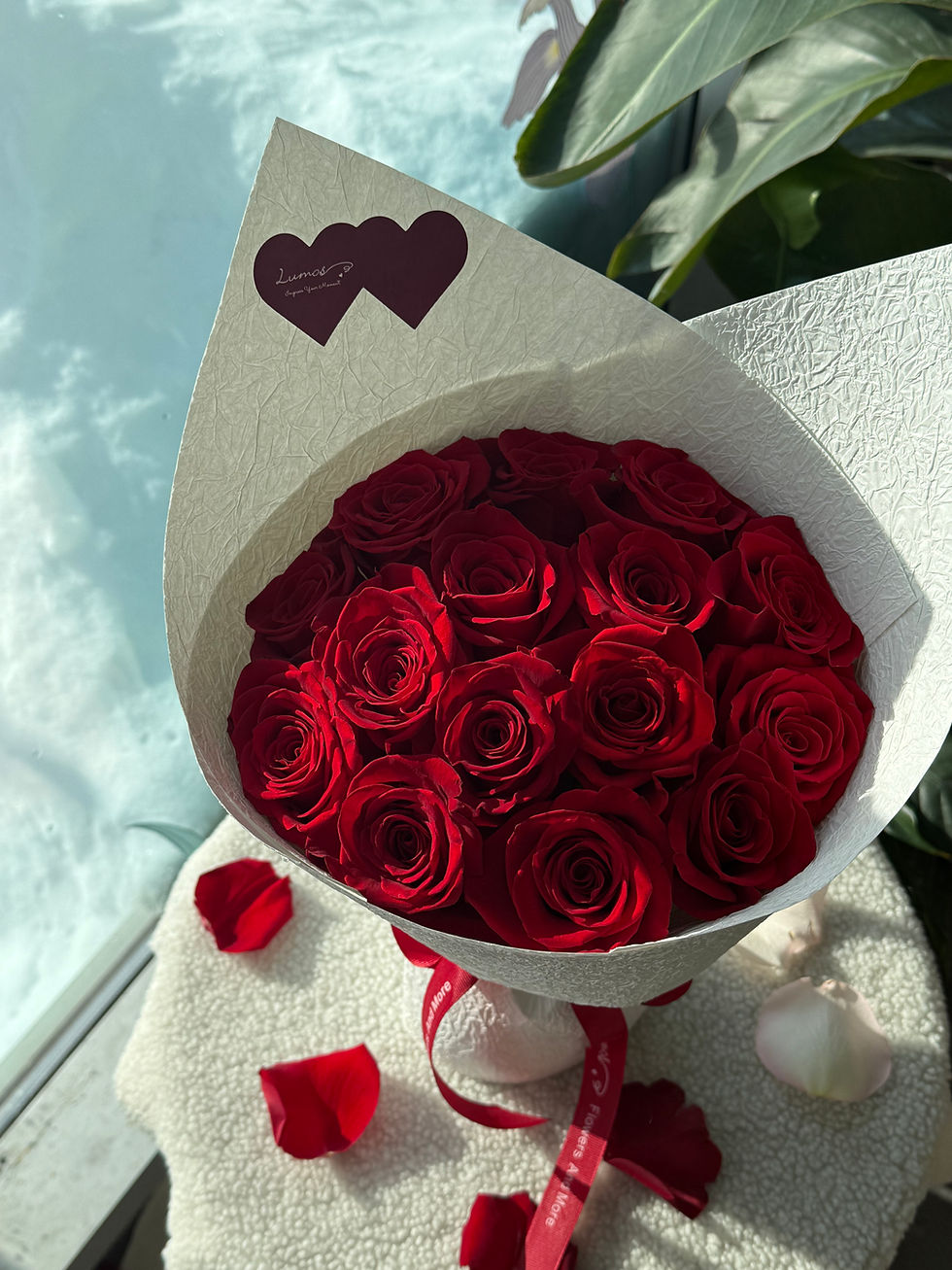 Thumbnail: Confession in Light