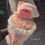 Thumbnail: Loopy Preserved Rose Bouquet