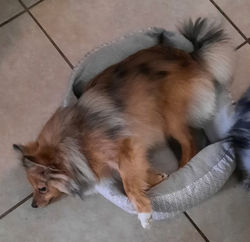 277518038_409103334510299_4876019319775888229_n (2)