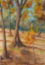 Floresta laranja