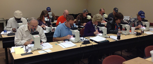 Mosquito identification training