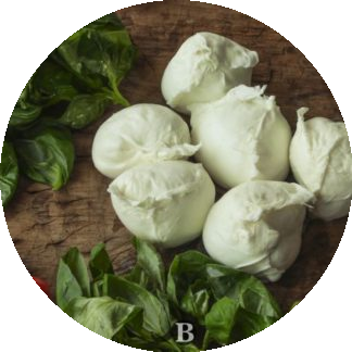 MOZZARELLA DI BUFALA CAMPANA BOCCONCINI image