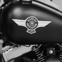 2012 Harley Davidson Fat Boy by Glenn Prokopovitch