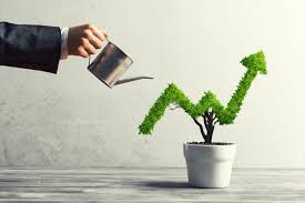 Handling Customer Service as Your Business Grows