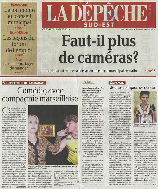La+Depeche+Sud-Est+15-03-13_edited.jpg