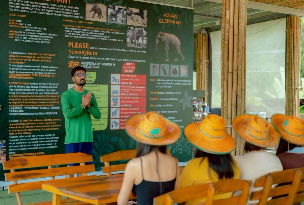 The Elephant Immersion (Park : Kathu)