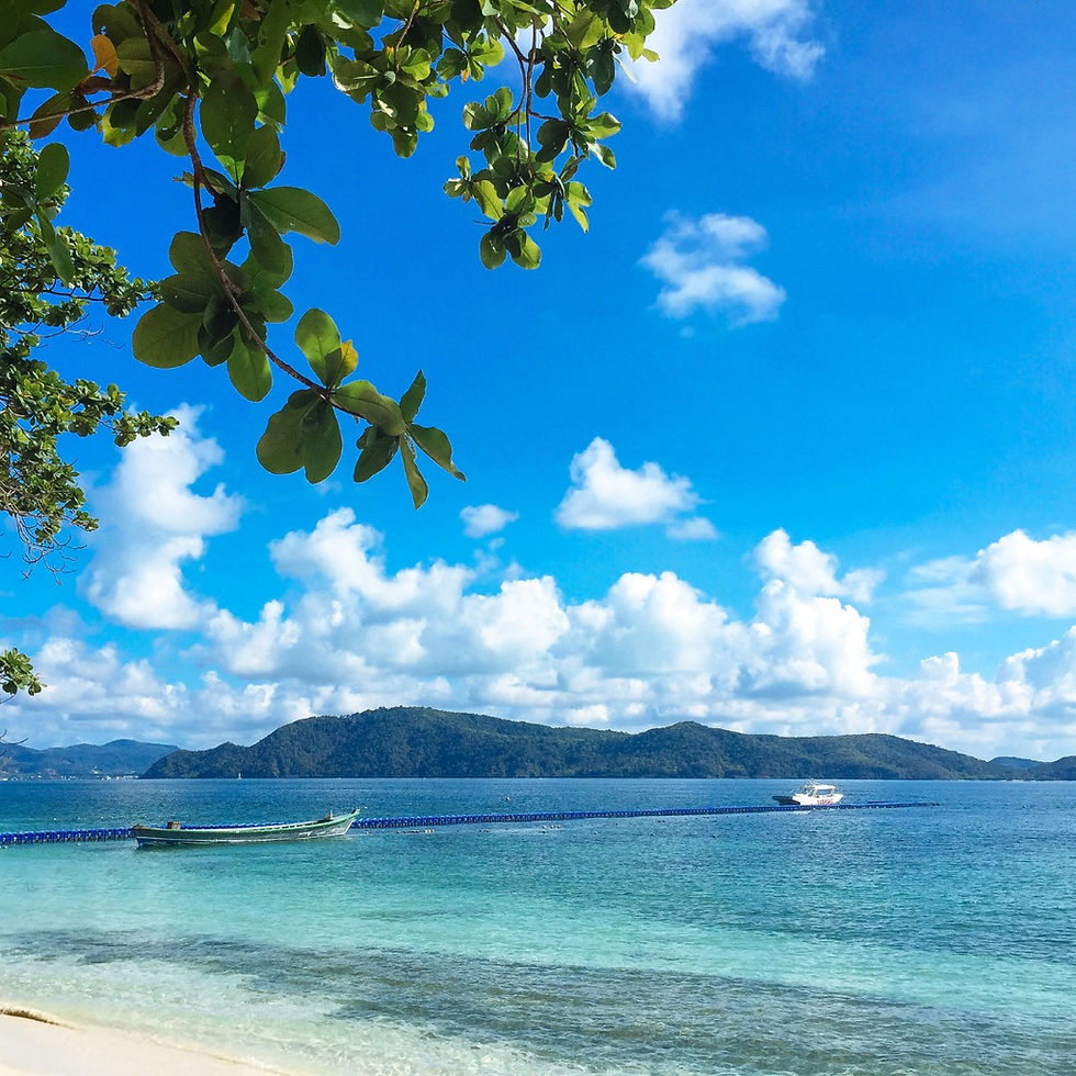 Thumbnail: Banana Beach Premium (Coral Island)