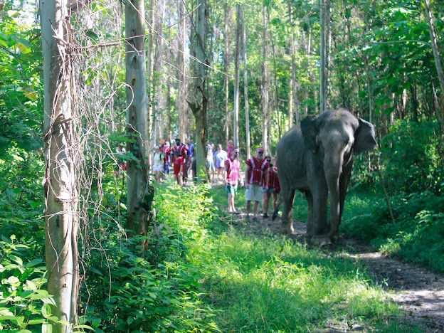 Thumbnail: Kerchor Elephant Sanctuary (Park: Kathu)