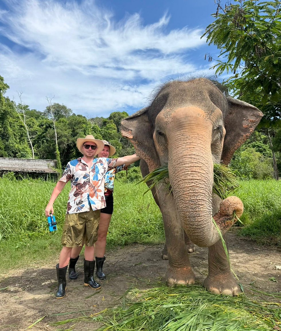Thumbnail: Half Day Elephant Nature - Ethical Bukit Elephant Sanctuary (4.30 hrs.)