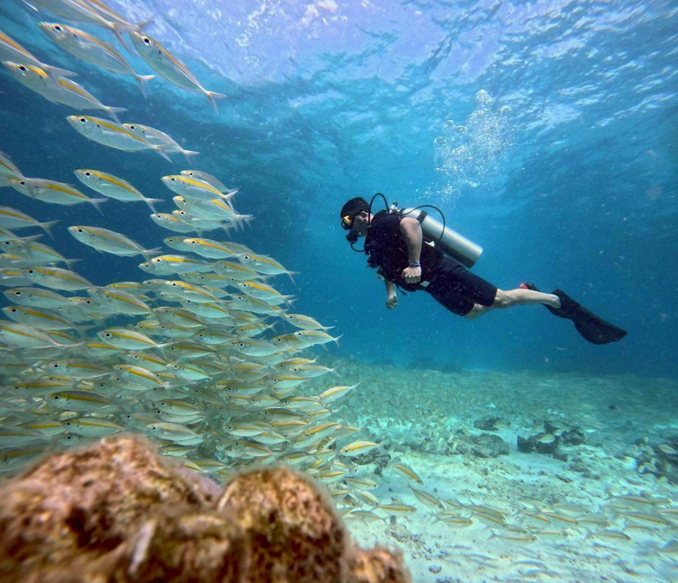 Thumbnail: Raya - Coral Islands + Scuba Diving(2Days 1 Night)