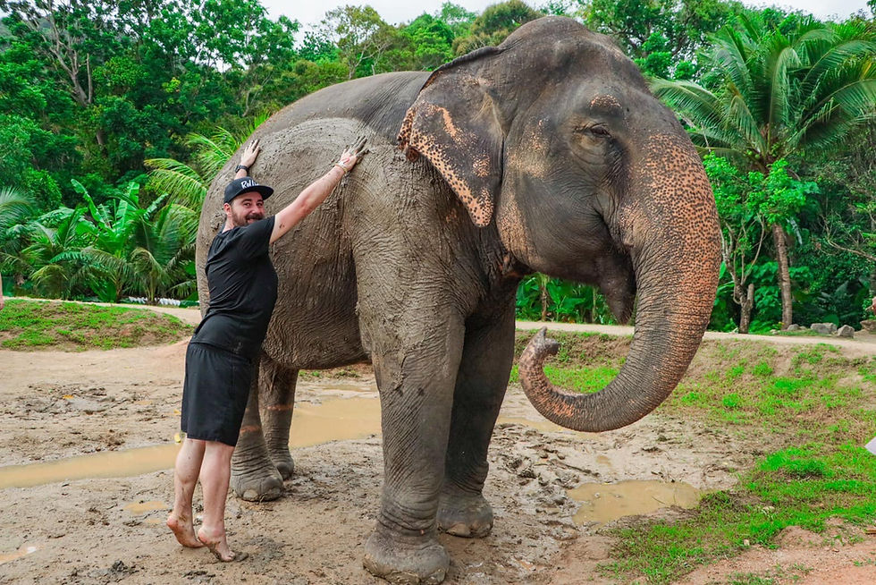Thumbnail: Elephant Sanctuary By Green Elephant (Park :Cherngtalay)