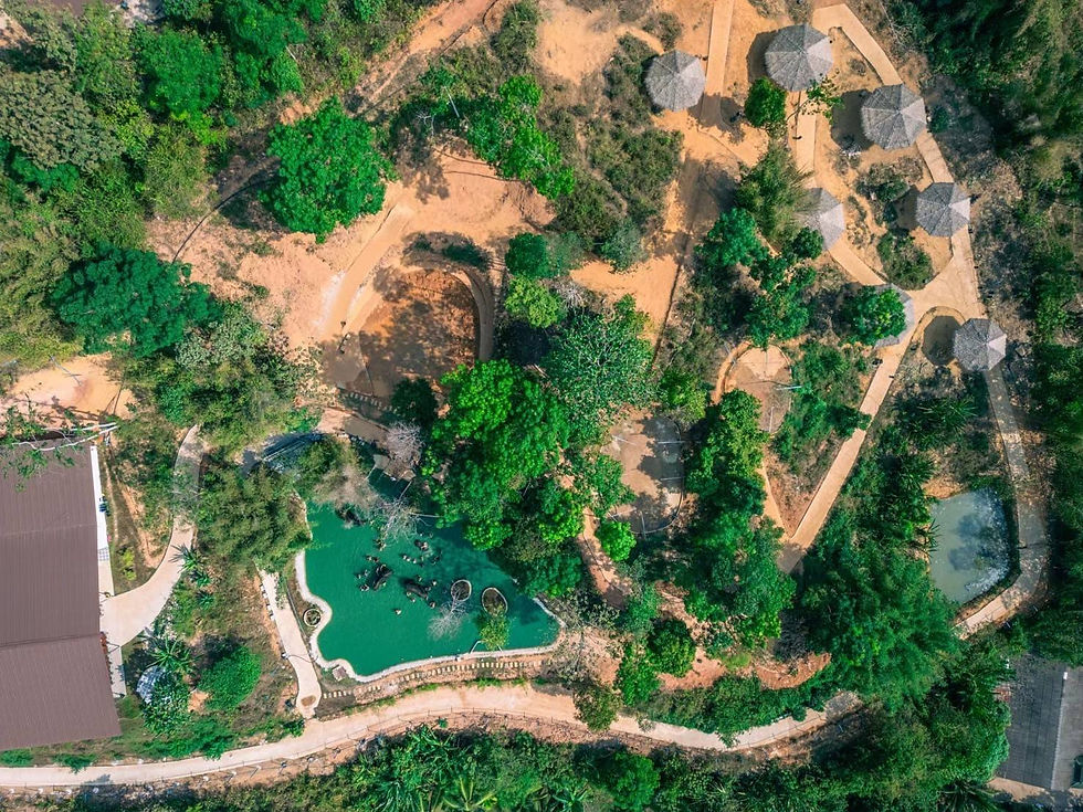 Thumbnail: Elephant Care Premium Insight(Park : Kathu)