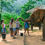 Thumbnail: Phuket Elephant Care(Park : Kathu)