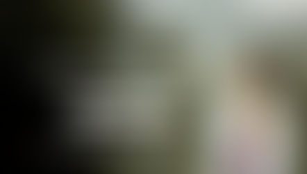 พลังแห่งการสัมผัส(The Power Of Touch)