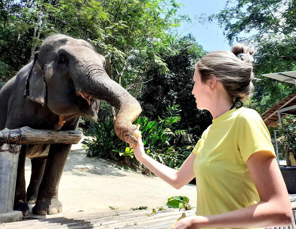 Thumbnail: Chalong Elephant Retirement