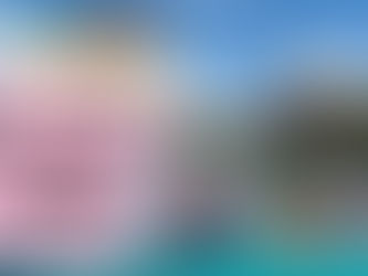 Behind the Curtain of Beauty at Similan National Park