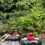 Thumbnail: River Tubing -Elaphant Bathing (A1)