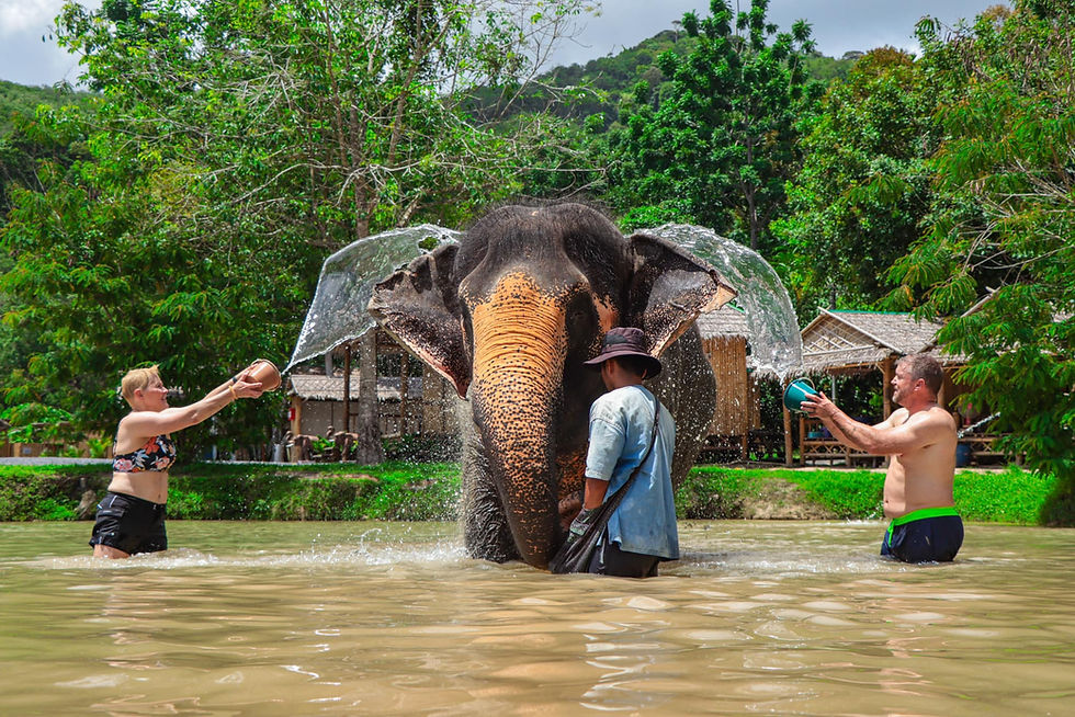Thumbnail: Elephant Sanctuary By Green Elephant (Park :Cherngtalay)