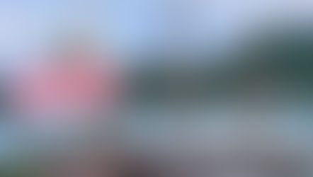 “Amerigo Vespucci”เรือที่สวยที่สุดในโลก