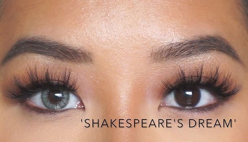 Mesmoreyez Metalize tattoos Boston fifty shakespears dream.jpg