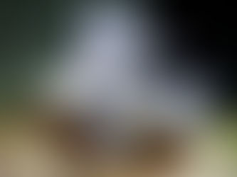 Cornell’s robot jellyfish and worm are powered by a hydraulic fluid battery