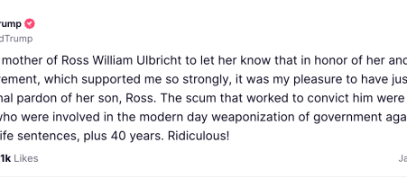 Trump pardons Silk Road creator Ross Ulbricht