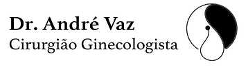 logo andre.png
